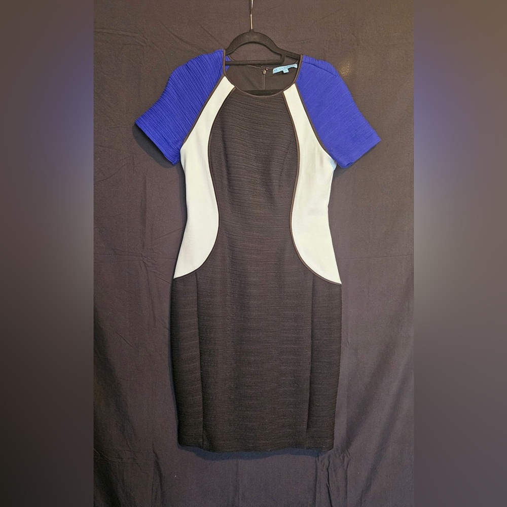 Antonio Melani Bodycon Colorblock Dress